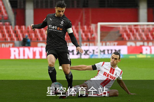 关于星空体育全站
